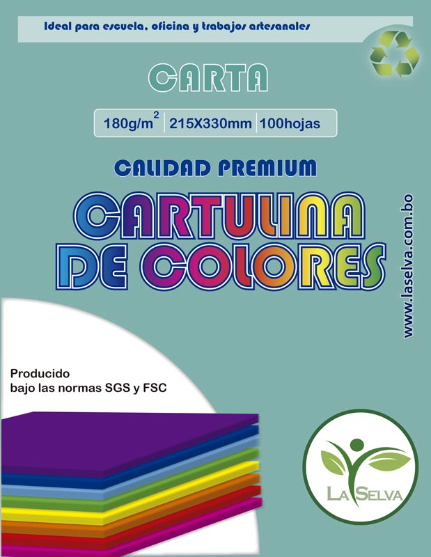 Cartulina de 10 colores intensos CARTA La Selva de 100 hjs