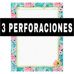 Hojas Traper Full Color TIPO GENESIS flipo 200hjs (3P)